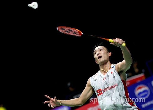 篮球爱好者 篮球爱好者